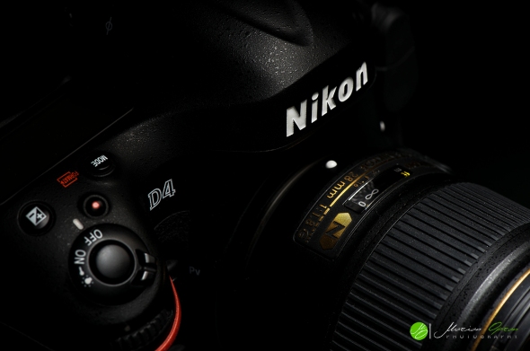 [Nikon D800; Exposure time 1/125 sec; ISO 100; Exposure Compensation 0.0; Lens aperture F.13]
